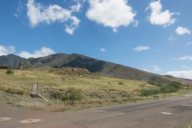 Listing Image for Kehalea Pl 11 31 of 42