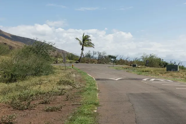 Listing Image for Kehalea Pl 11 38 of 42