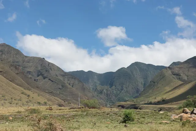 Listing Image for Kehalea Pl 11 6 of 42