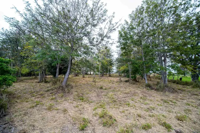 Listing Image for 0 Kula Hwy 2 of 19
