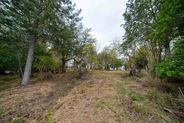 Listing Image for 0 Kula Hwy 4 of 19