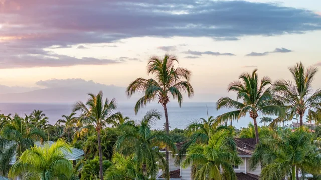 Listing Image for 3376 E Lani Ikena Way 14 of 47