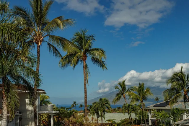 Listing Image for 3376 E Lani Ikena Way 36 of 47