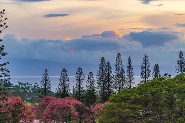 Listing Image for 500 Kapalua Dr 25v 3-4 31 of 36
