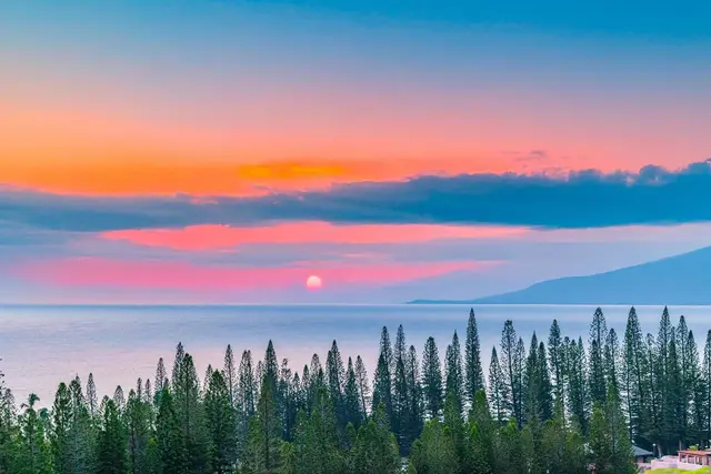Listing Image for 500 Kapalua Dr 25v 3-4 7 of 36