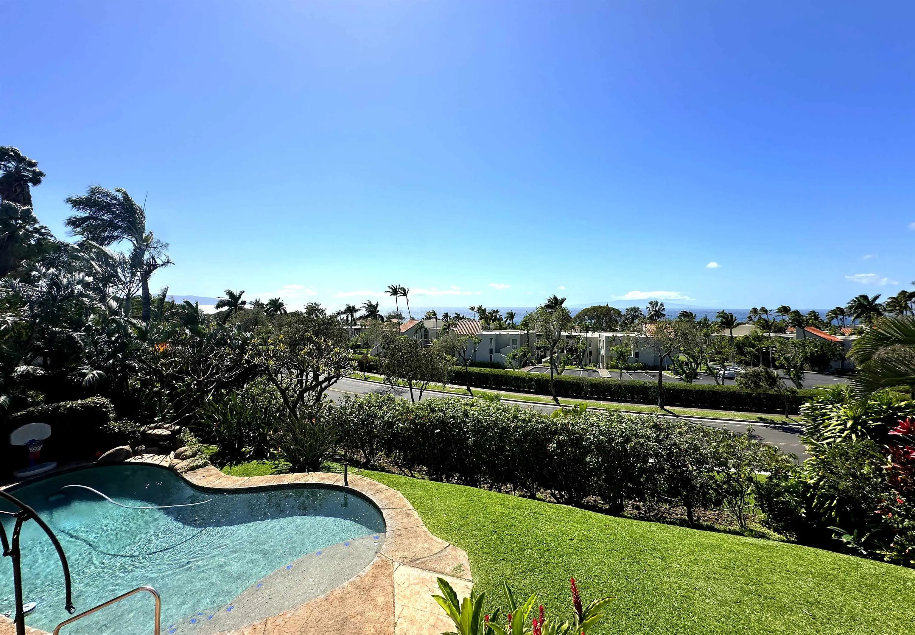 Photo of Listing #409116