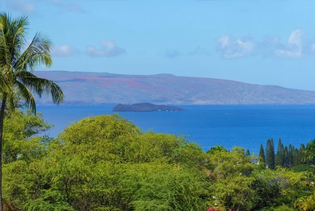 3950 Kalai Waa St W201, Wailea/Makena