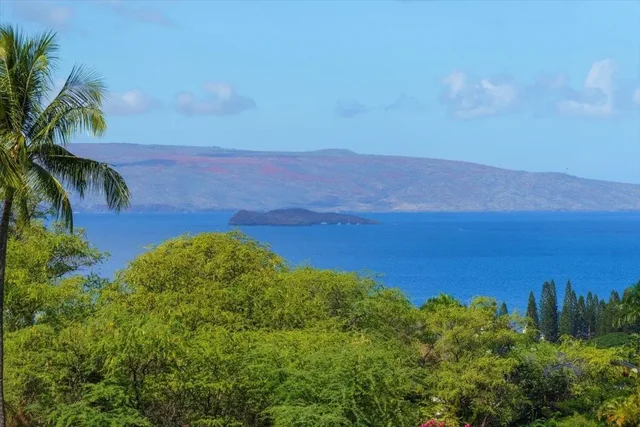 Listing Image for 3950 Kalai Waa St W201 1 of 50