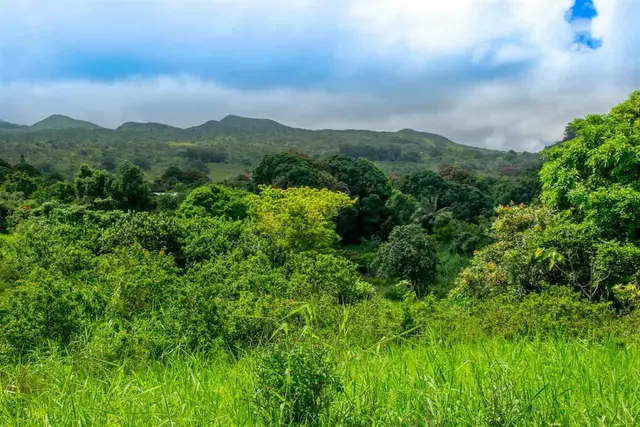 Listing Image for 153 Kapia Rd Lot D 12 of 22