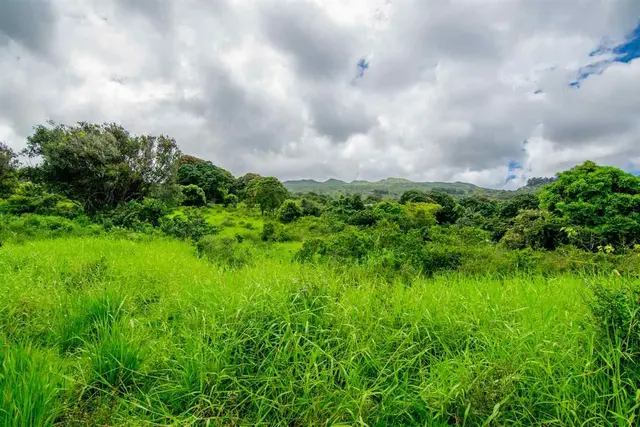 Listing Image for 153 Kapia Rd Lot D 14 of 22