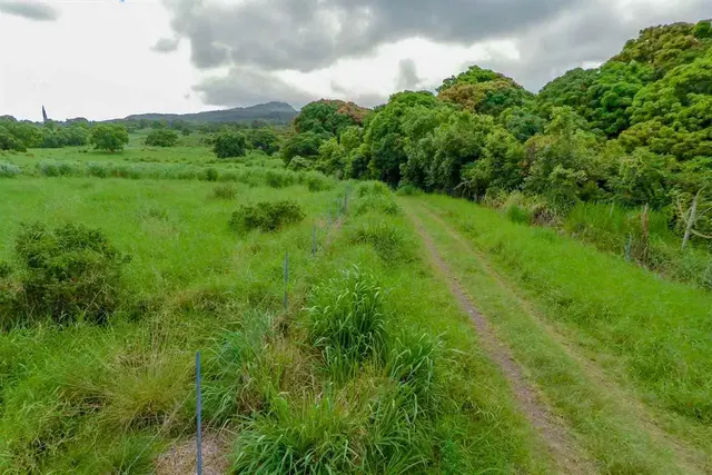Listing Image for 153 Kapia Rd Lot D 15 of 22