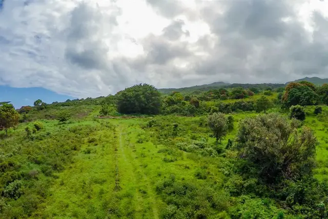 Listing Image for 153 Kapia Rd Lot D 5 of 22