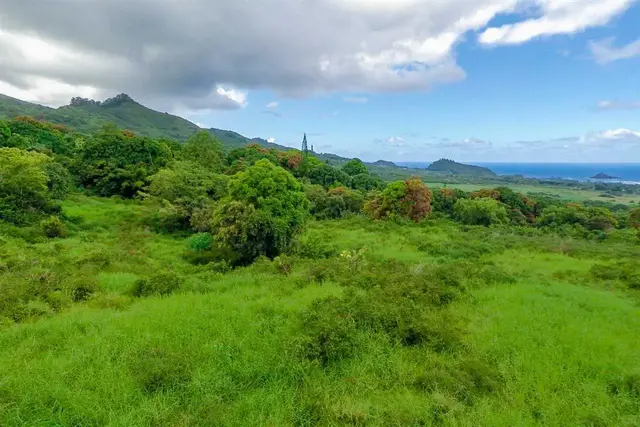 Listing Image for 153 Kapia Rd Lot D 6 of 22