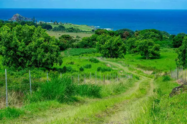 Listing Image for 153 Kapia Rd Lot D 8 of 22