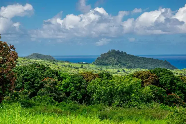 Listing Image for 153 Kapia Rd Lot D 9 of 22