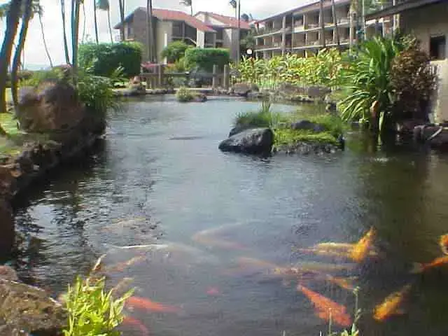 Listing Image for 3543 Lower Honoapiilani Rd F206 1ab 17 of 21