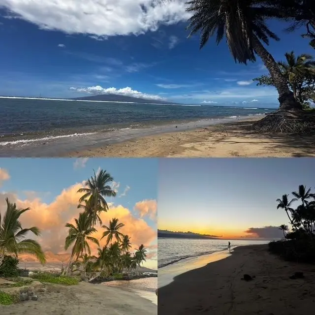 Listing Image for 1500 Limahana Cir E101 19 of 21