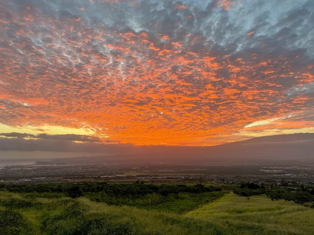 Listing Image for 681 S Alu Rd 49 of 50