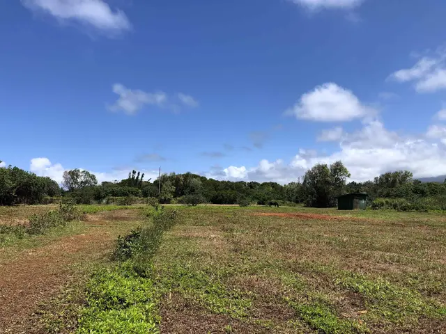 Listing Image for 0 Haumana Rd 16 of 25