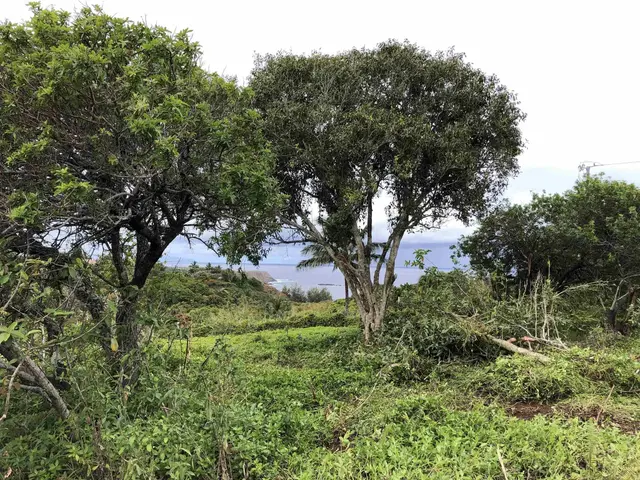 Listing Image for 0 Haumana Rd 3 of 25