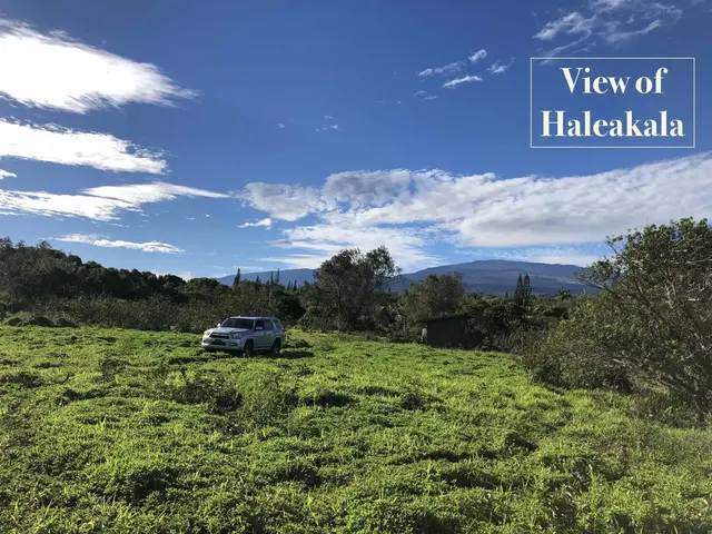 Listing Image for 0 Haumana Rd 4 of 25
