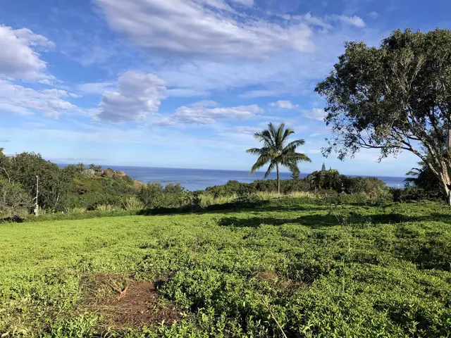 Listing Image for 0 Haumana Rd 5 of 25