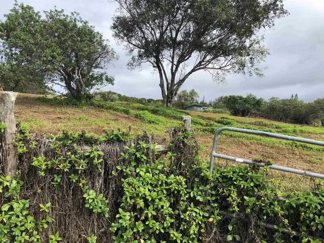 Listing Image for 0 Haumana Rd 6 of 25