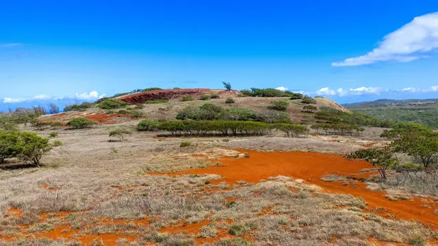 Listing Image for 1338 Kalua Koi Rd Lot 44 10 of 19