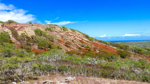 Listing Image for 1338 Kalua Koi Rd Lot 44 12 of 19