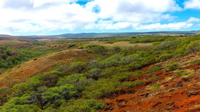 Listing Image for 1338 Kalua Koi Rd Lot 44 15 of 19