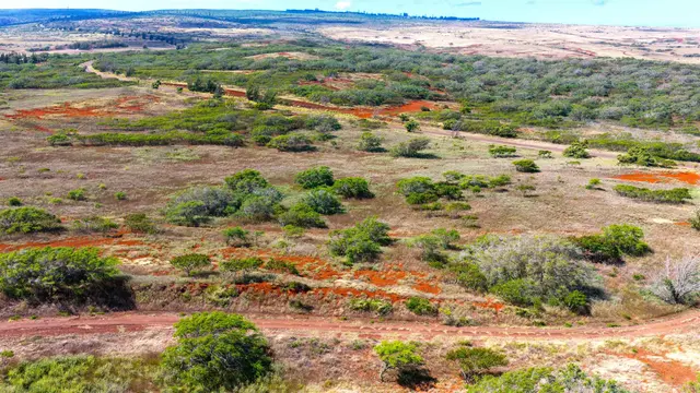 Listing Image for 1338 Kalua Koi Rd Lot 44 16 of 19