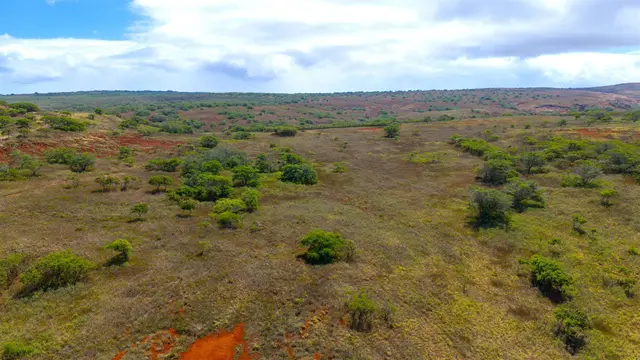 Listing Image for 1338 Kalua Koi Rd Lot 44 7 of 19