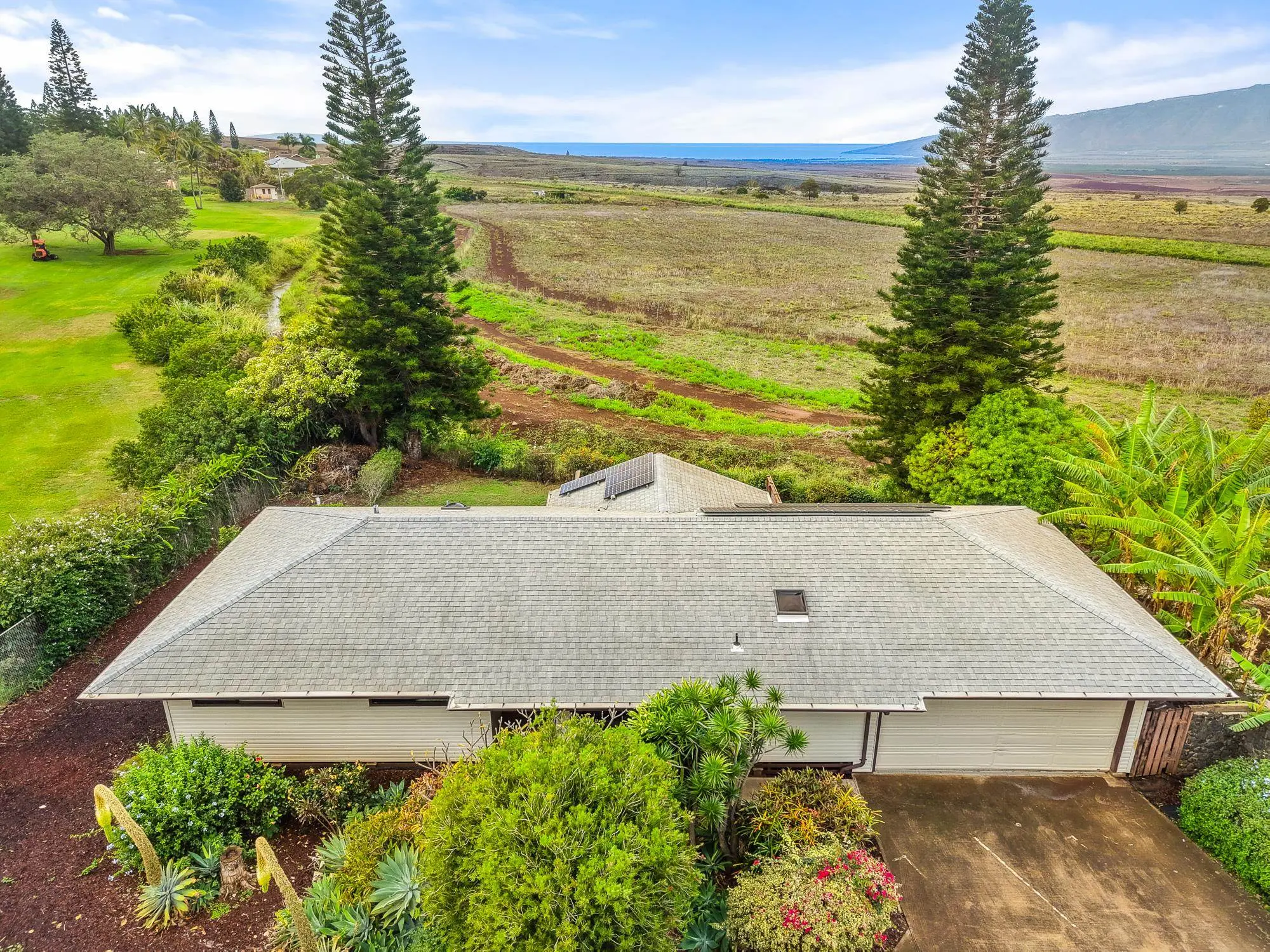 Photo of Listing #408519