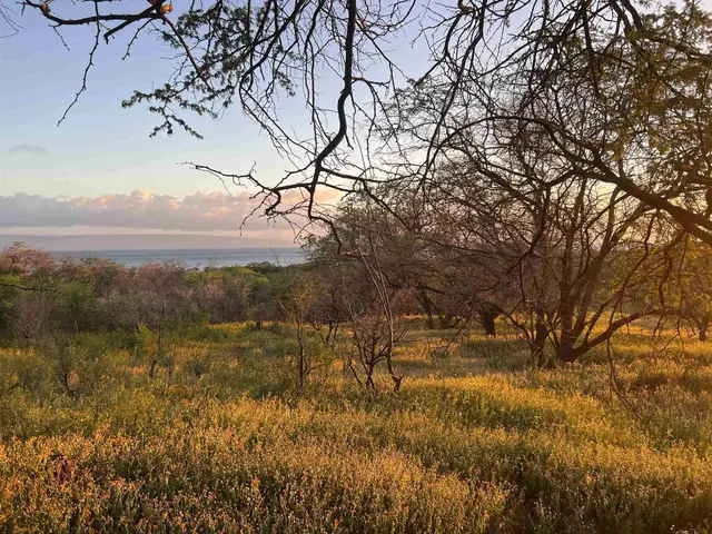 Listing Image for 340 Onioni Dr 101 14 of 16