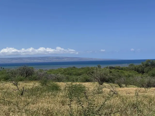 Listing Image for 340 Onioni Dr 101 3 of 16