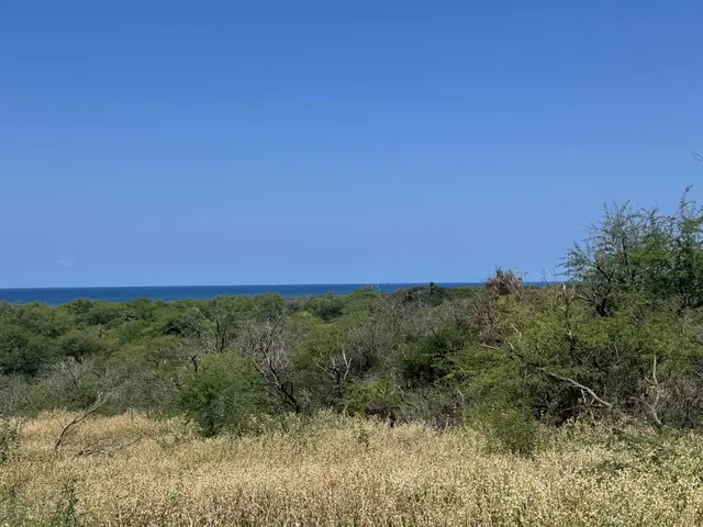 Listing Image for 340 Onioni Dr 101 4 of 16