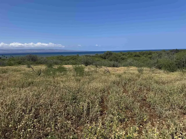 Listing Image for 340 Onioni Dr 101 6 of 16