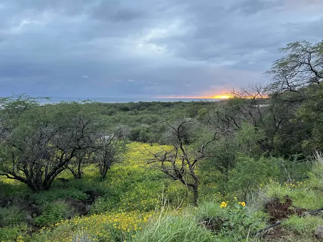 Listing Image for 340 Onioni Dr 101 9 of 16