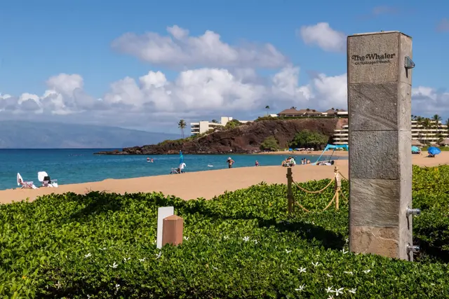 Listing Image for 2481 Kaanapali Pkwy 256 33 of 50