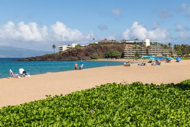 Listing Image for 2481 Kaanapali Pkwy 256 35 of 50