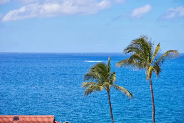 Listing Image for 4000 Wailea Alanui Dr 2502 30 of 41