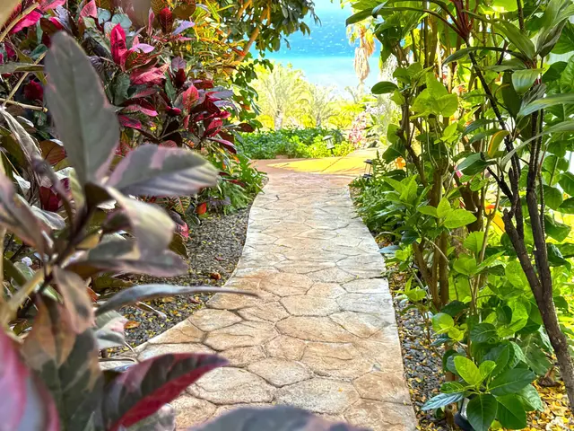 Listing Image for 274 Makaiki Rd 206 38 of 40
