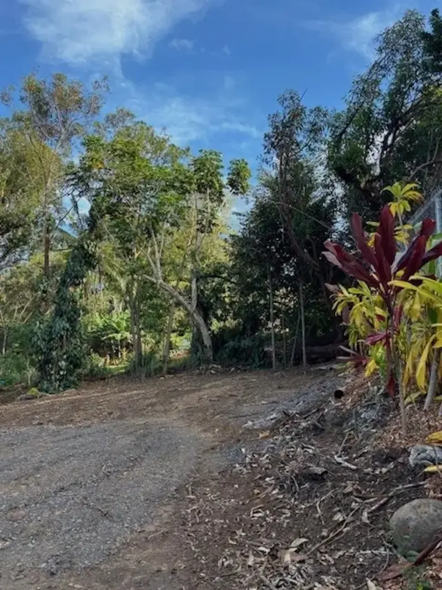Listing Image for 2599 Ala Olu Pl Unit C 14 of 17