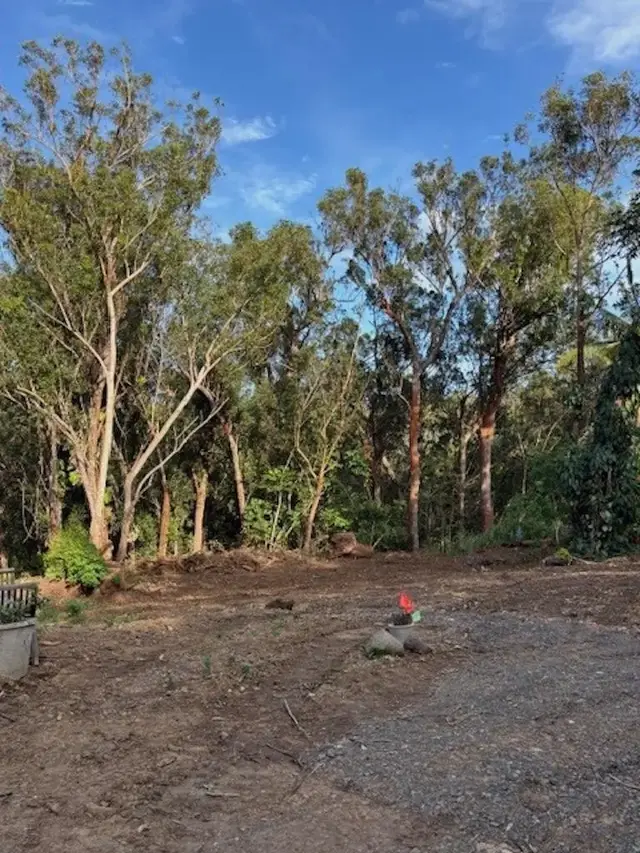 Listing Image for 2599 Ala Olu Pl Unit C 15 of 17