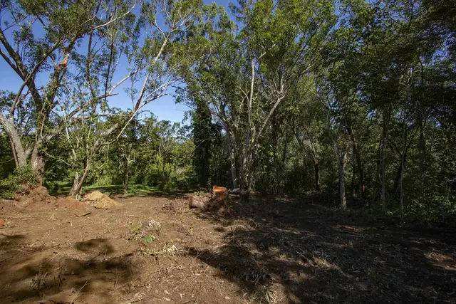 Listing Image for 2599 Ala Olu Pl Unit C 6 of 17