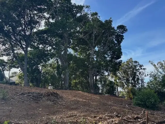 Listing Image for 2599 Ala Olu Pl Unit C 9 of 17