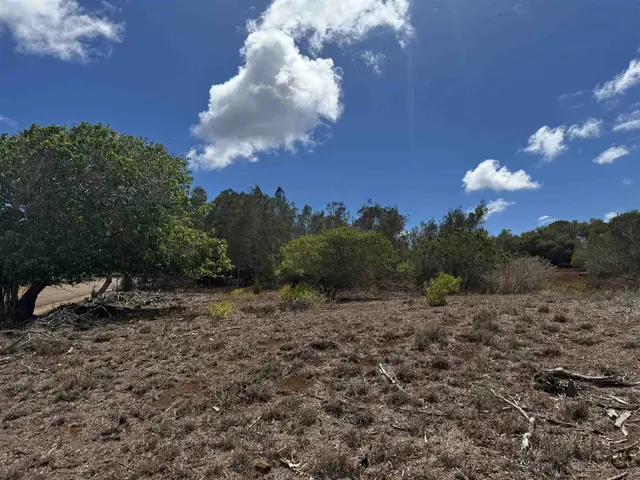 Listing Image for Kaana St 499 1 of 12