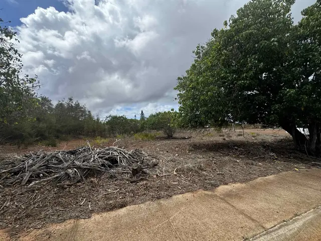 Listing Image for Kaana St 499 3 of 12