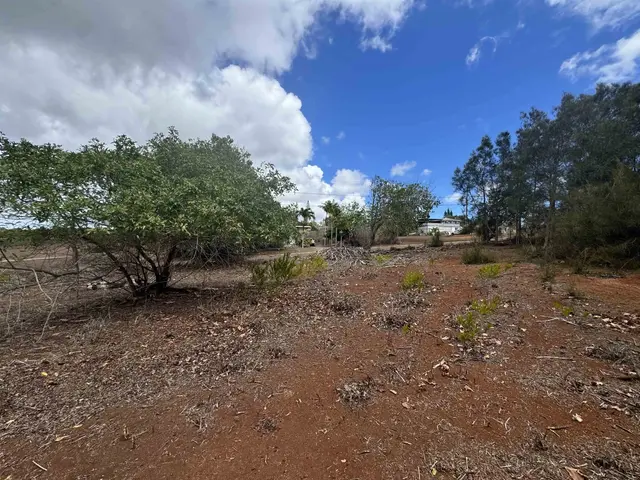 Listing Image for Kaana St 499 5 of 12