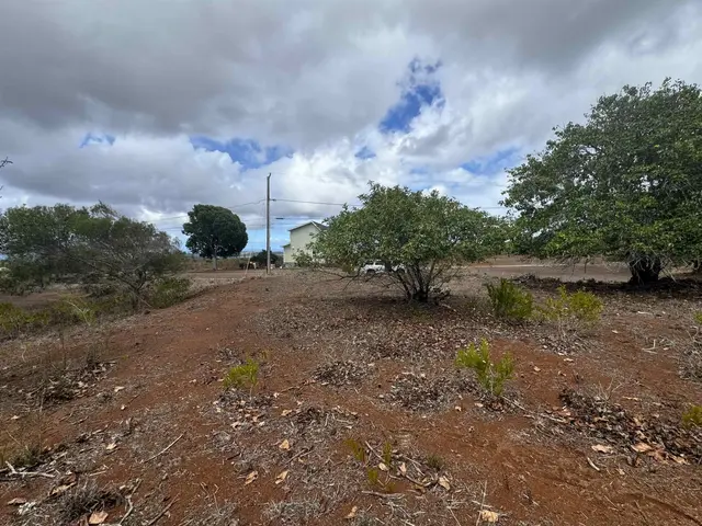 Listing Image for Kaana St 499 6 of 12